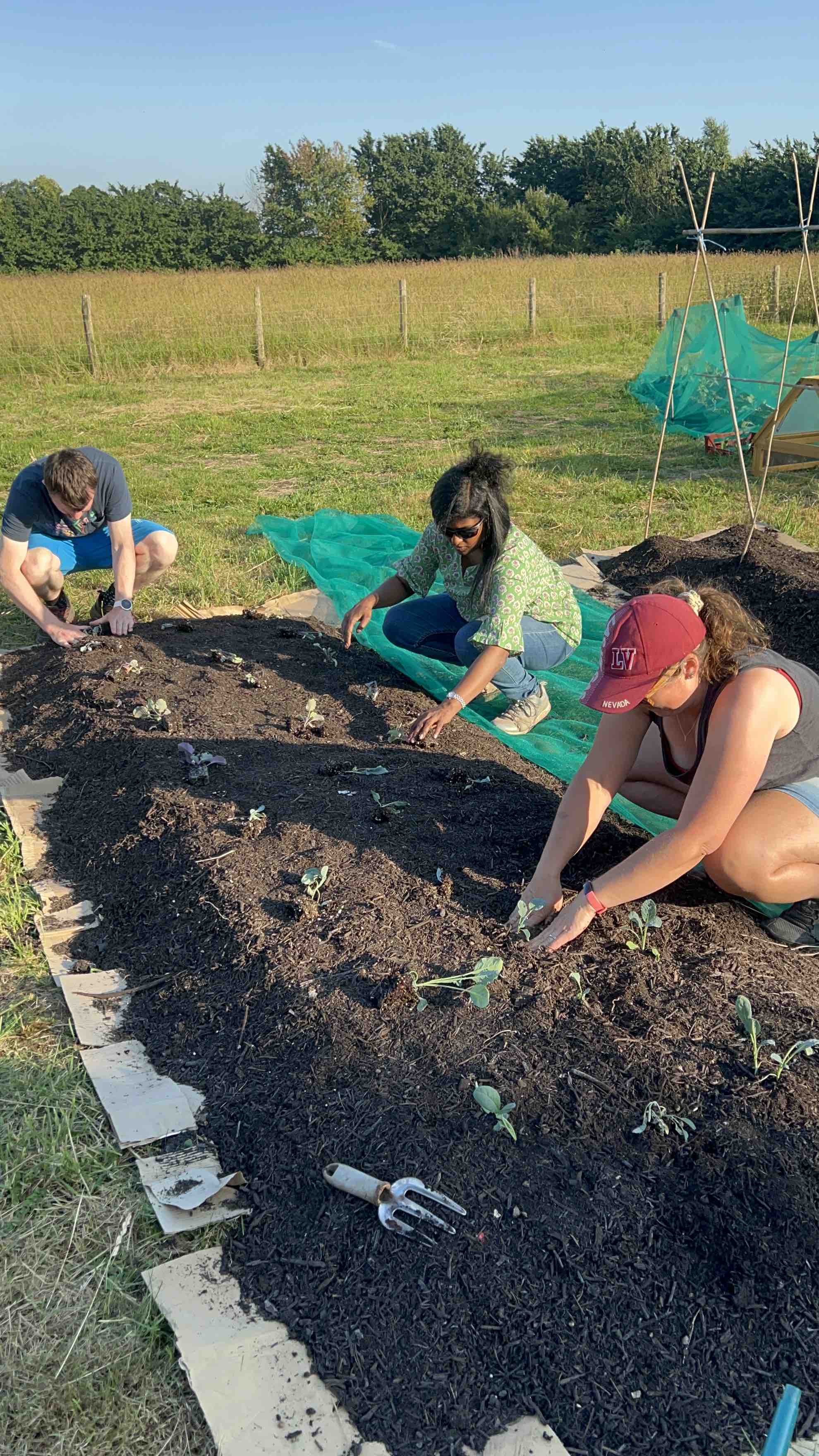 The team making a no dig bed