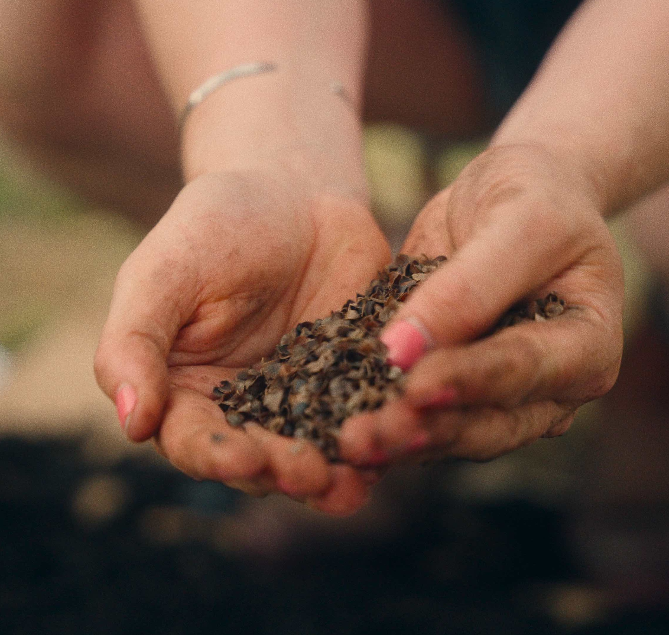 Sowing Seeds